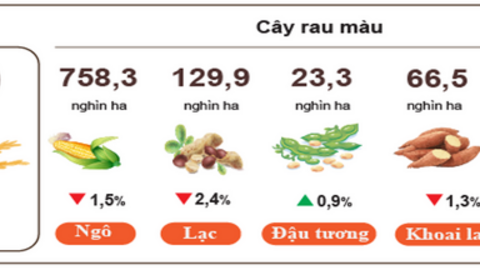 Sản xuất nông - lâm nghiệp 8 tháng duy trì ổn định