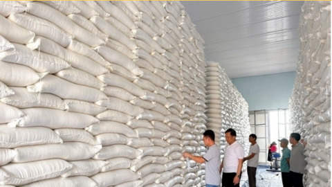 Các trường hợp nhập, xuất hàng dự trữ quốc gia theo quy định mới