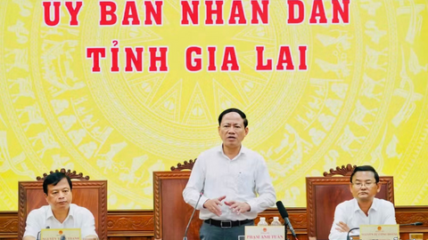 Gia Lai: Kinh tế tháng 8 duy trì đà tăng, nhiều lĩnh vực bứt phá