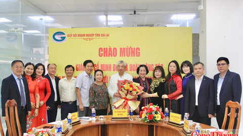 Gia Lai: Kết nối chuyên gia, doanh nghiệp mở rộng dư địa hợp tác quốc tế