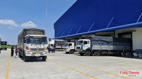 TP. Hồ Chí Minh muốn logistics thoát khỏi cuộc đua 'xe - kho - bãi'