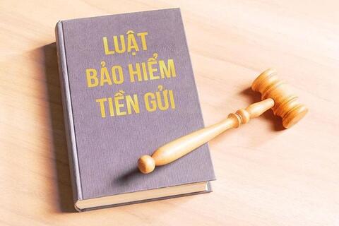 Tăng vốn để Bảo hiểm tiền gửi tham gia sâu hơn tái cơ cấu ngân hàng yếu kém