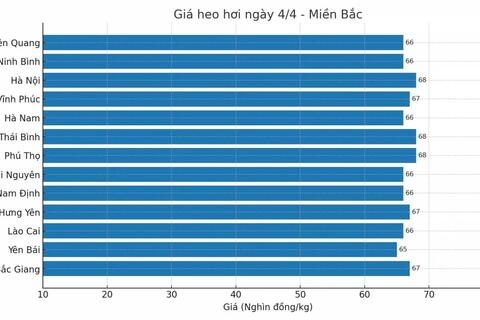 Giá heo hơi hôm nay 4/4/2025: Miền Bắc, miền Trung tăng nhẹ