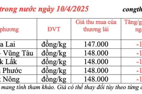Giá tiêu hôm nay 10/4/2025, thị trường cao nhất 148.000 đồng/kg