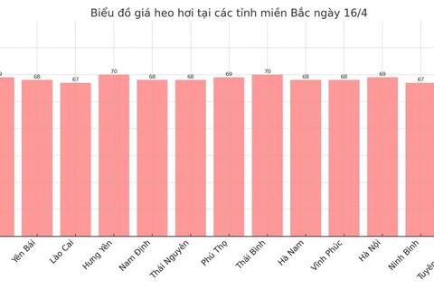 Giá heo hơi hôm nay 16/4/2025: Đồng loạt tăng giá
