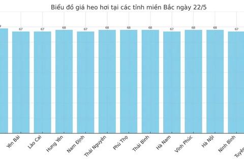 Giá heo hơi hôm nay 22/5/2025: Tăng nhẹ tại miền Nam