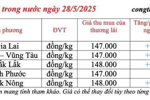 Giá tiêu hôm nay 28/5/2025: trong nước lấy lại đà tăng