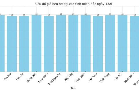 Giá heo hơi hôm nay 13/6/2025: Cao nhất 74.000 đồng/kg