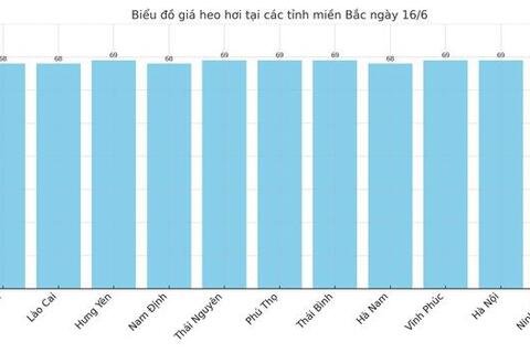 Giá heo hơi hôm nay 16/6/2025: Tăng mạnh tại miền Nam