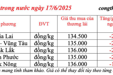 Giá tiêu hôm nay 17/6/2025: trong nước tiếp đà giảm