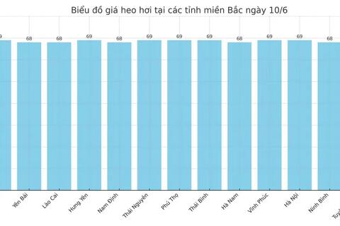Giá heo hơi hôm nay 10/6/2025: Giảm nhẹ tại miền Trung