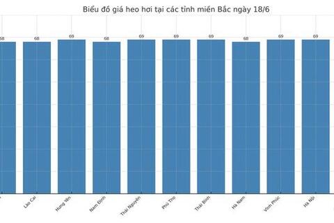 Giá heo hơi hôm nay 18/6/2025: Miền Nam, miền Trung tiếp đà giảm nhẹ