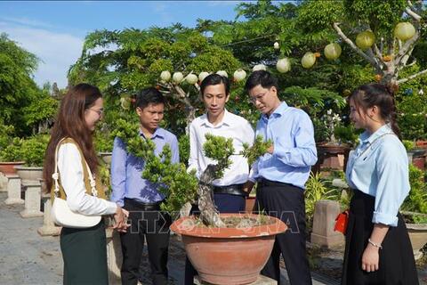 Nâng cao giá trị ngành hàng hoa kiểng
