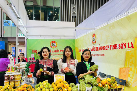 Sơn La đưa nông sản vươn xa: Từ vùng cao đến thị trường quốc tế