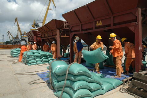 Tạo hành lang pháp lý thuận lợi nhất cho hoạt động xuất khẩu gạo