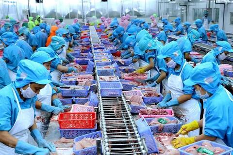 FTA Việt Nam - EFTA: ‘Chìa khóa’ mở rộng thương mại với thị trường Na Uy
