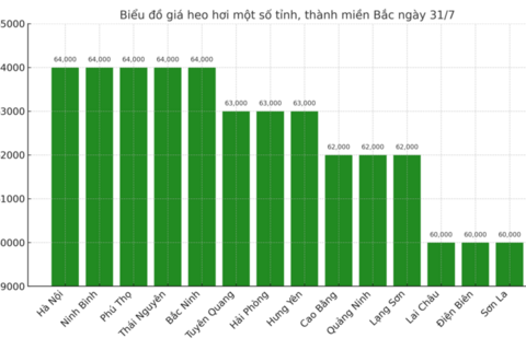 Giá heo hơi hôm nay 31/7/2025: Tiếp đà tăng nhẹ ở nhiều địa phương