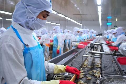 5 năm EVFTA có hiệu lực: Thương mại Việt Nam - EU tích lũy gần 300 tỷ USD