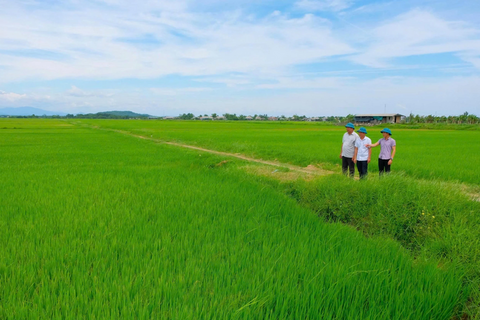 Sản phẩm OCOP mở lối thoát nghèo bền vững cho người dân tộc Vĩnh Thủy