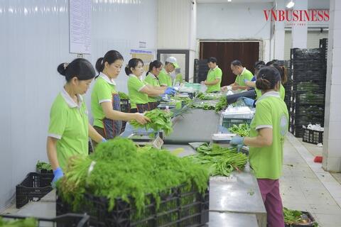 Liên minh HTX Việt Nam chung tay ủng hộ nhân dân Cuba: Lan tỏa tinh thần đoàn kết, chia sẻ