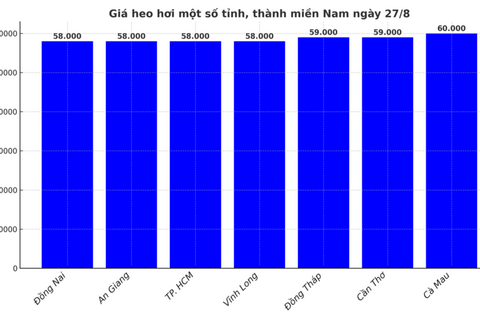 Giá heo hơi hôm nay 27/8/2025: Nhiều địa phương giảm mạnh
