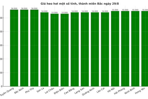 Giá heo hơi hôm nay 29/8/2025: Miền Bắc bất ngờ đảo chiều tăng