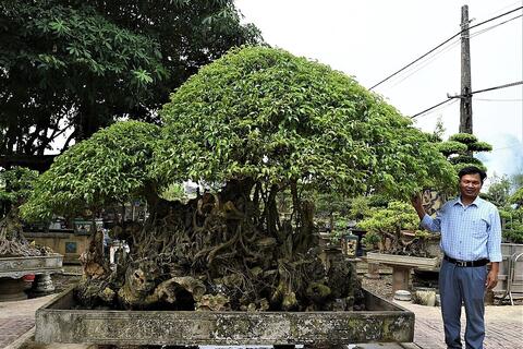 Vì sao sản phẩm OCOP 5 sao vẫn là của hiếm trên thị trường?