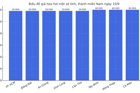 Giá heo hơi hôm nay 10/9/2025: Miền Bắc tăng đồng loạt