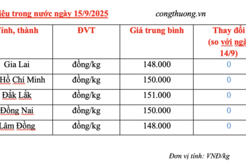 Giá tiêu hôm nay 15/9/2025: Duy trì ổn định