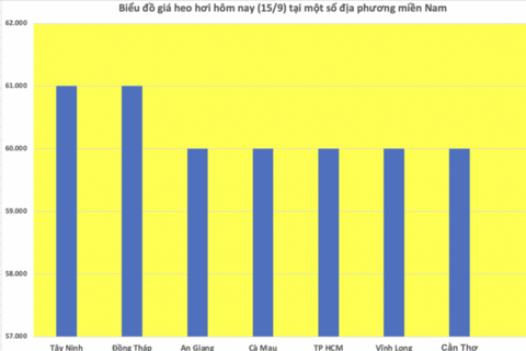 Giá heo hơi hôm nay 15/9/2025: Duy trì đà bình ổn
