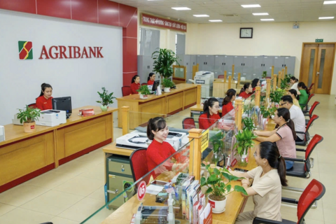Ngân hàng hạ lãi suất giúp doanh nghiệp hồi phục sau bão