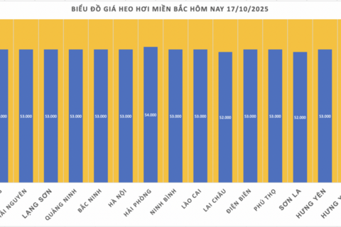 Giá heo hơi hôm nay 17/10/2025: Trầm lắng trên cả ba miền