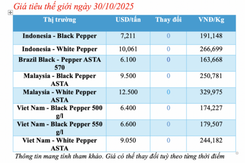 Giá tiêu hôm nay 30/10/2025: Tăng mạnh 1.000 đồng/kg