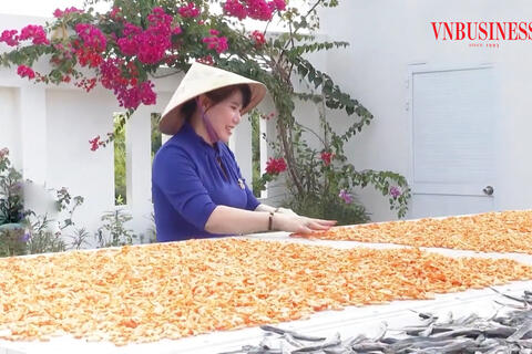 Xây dựng nông thôn mới ở Cà Mau nhìn từ sự vươn mình của các HTX