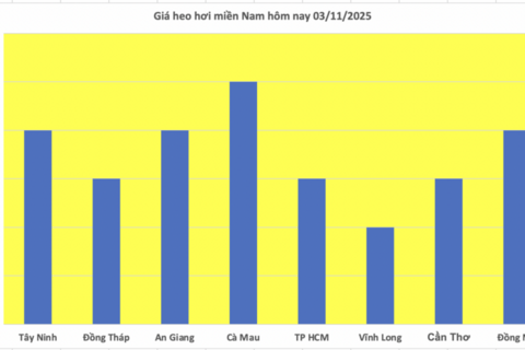 Giá heo hơi hôm nay 3/11/2025: Ổn định trên cả ba miền