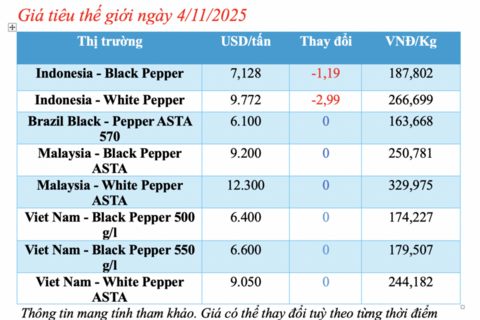Giá tiêu hôm nay 4/11/2025: Tăng nhẹ 500 đồng/kg