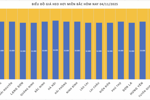 Giá heo hơi hôm nay 4/11/2025: Duy trì ổn định