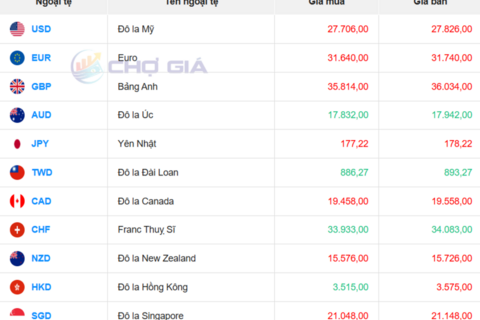 Tỷ giá USD hôm nay 4/11/2025: Trong nước ổn định, “chợ đen” giảm nhẹ