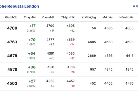 Giá cà phê hôm nay 5/11/2025: Bất ngờ tăng mạnh