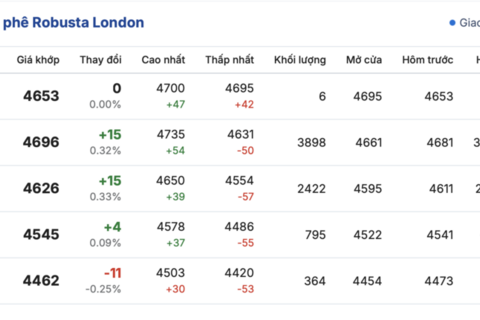 Giá cà phê hôm nay 6/11/2025: Giảm nhẹ cục bộ