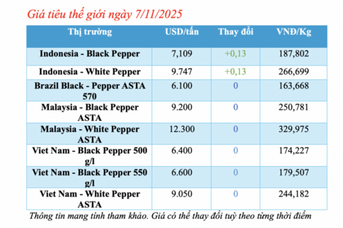 Giá tiêu hôm nay 7/11/2025: Cao nhất 147.000 đồng/kg
