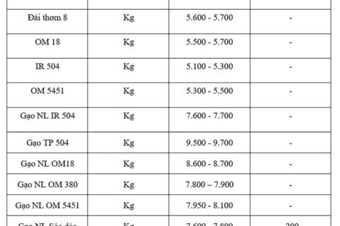 Giá lúa gạo hôm nay ngày 7/11: Gạo xuất khẩu biến động, lúa chững giá