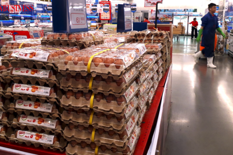 Doanh nghiệp chăn nuôi nội có vượt qua được ‘vòng vây’ khó khăn?