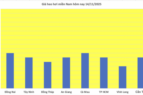Giá heo hơi hôm nay 14/11/2025: Chững lại trên cả nước