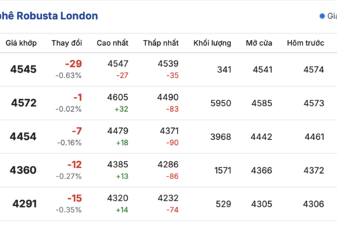 Giá cà phê hôm nay 20/11/2025: Tiếp tục tăng mạnh