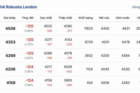Giá cà phê hôm nay 24/11/2025: Thị trường chững lại
