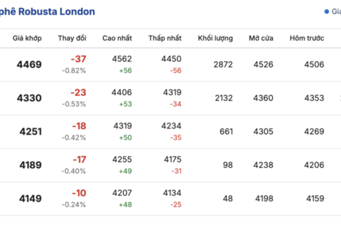 Giá cà phê hôm nay 25/11/2025: Giảm nhẹ 500 đồng/kg