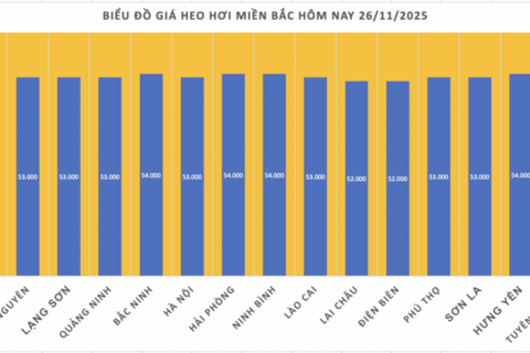 Giá heo hơi hôm nay 26/11/2025: Tăng giảm trái chiều