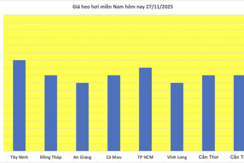 Giá heo hơi hôm nay 27/11/2025: Miền Trung tăng 1.000 đồng/kg