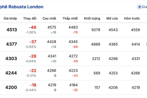 Giá cà phê hôm nay 27/11/2025: Bật tăng trở lại